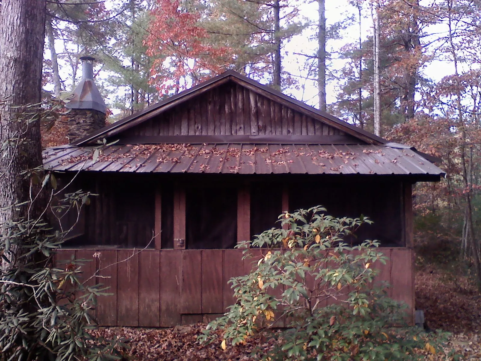Metal roof over the screened porch of a rustic cabin in Montgomeryville